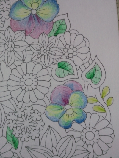 塗り絵 枠 おしゃれ 花 枠 イラスト 白黒 – homu interia 塗り絵の枠の部分の謎… - 塗り絵日記