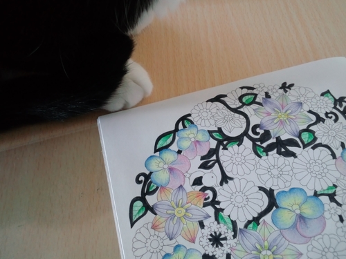 f:id:ofukusuke:20161118083118j:plain f:id:ofukusuke:20161118083118j:plain