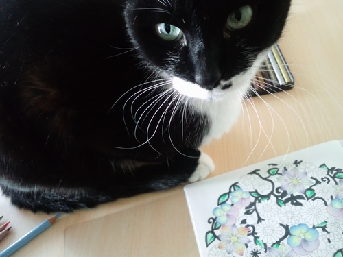 f:id:ofukusuke:20161118083129j:plain f:id:ofukusuke:20161118083129j:plain