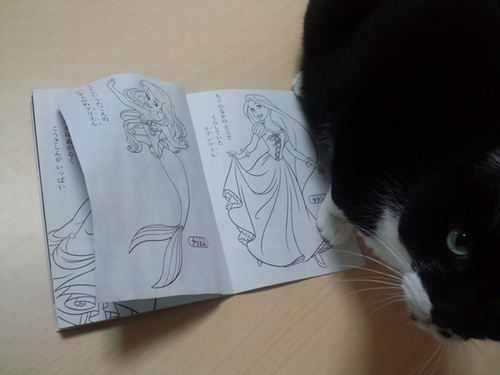 100均の グリッターのり でキラッキラにしてみた 塗り絵日記 100均の グリッターのり でキラッキラにしてみた 塗り絵日記