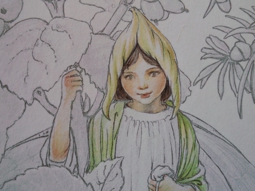 灰色の塗り絵を塗ってみた 色鉛筆編 塗り絵日記 灰色の塗り絵を塗ってみた 色鉛筆編 塗り絵日記