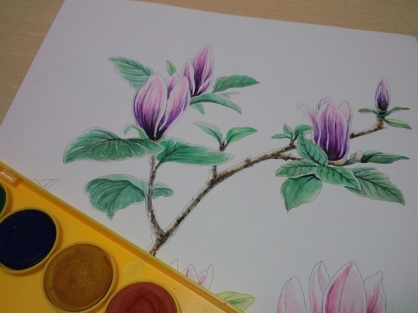 完成 １００均固形水彩vs透明水彩塗り比べ ダイソー0円塗り絵より 塗り絵日記