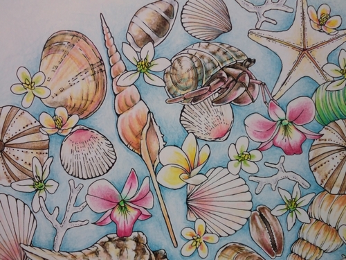 貝殻ページ完成 幸メヌより 塗り絵日記
