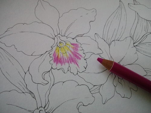 f:id:ofukusuke:20180109174902j:plain f:id:ofukusuke:20180109174902j:plain