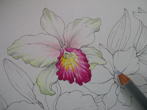 f:id:ofukusuke:20180109175001j:plain f:id:ofukusuke:20180109175001j:plain