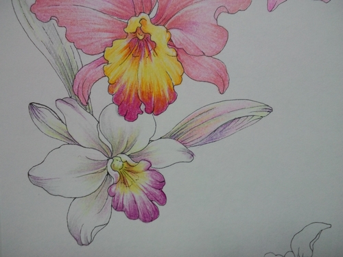 f:id:ofukusuke:20180109175129j:plain f:id:ofukusuke:20180109175129j:plain