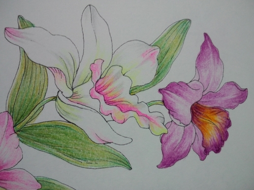 f:id:ofukusuke:20180109175139j:plain f:id:ofukusuke:20180109175139j:plain