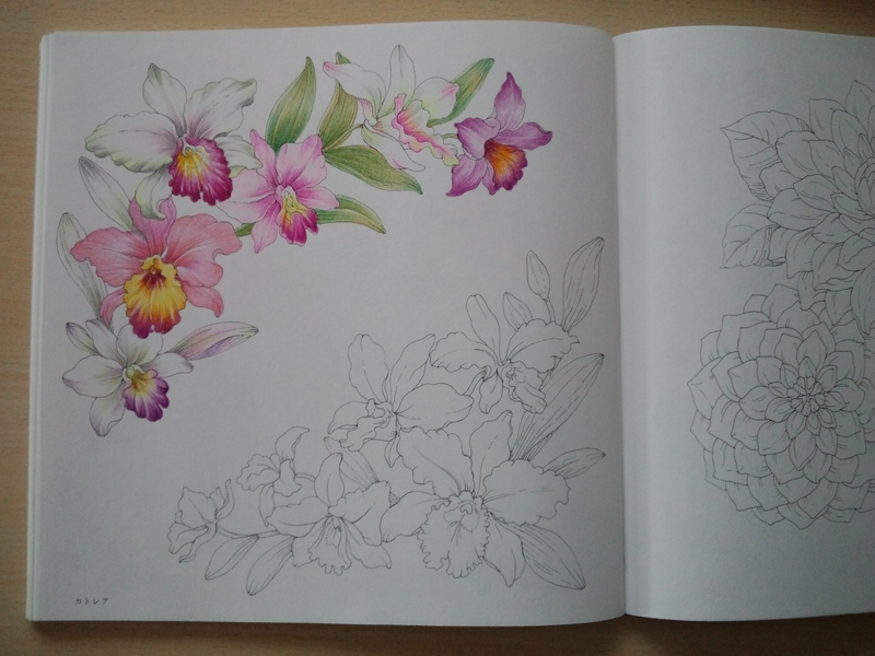 f:id:ofukusuke:20180109175221j:plain f:id:ofukusuke:20180109175221j:plain