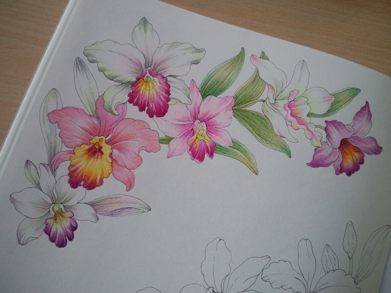 f:id:ofukusuke:20180109224828j:plain f:id:ofukusuke:20180109224828j:plain