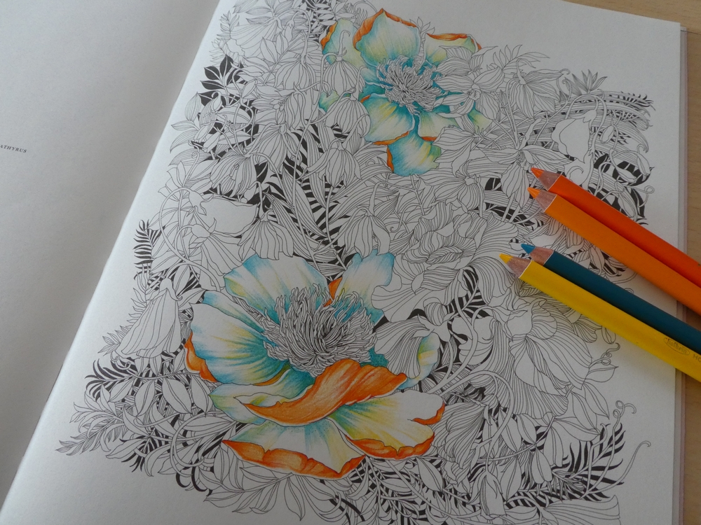 1】029レイラさん本番ページをホルベイン色鉛筆で塗り始めましたッ