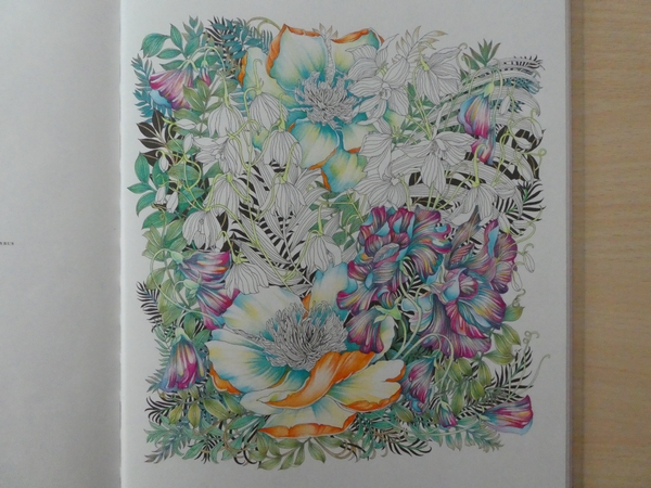 完成】ホルベイン色鉛筆でレイラさんの世界一美しい花のぬり絵029