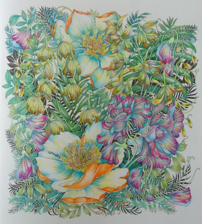 完成】ホルベイン色鉛筆でレイラさんの世界一美しい花のぬり絵029