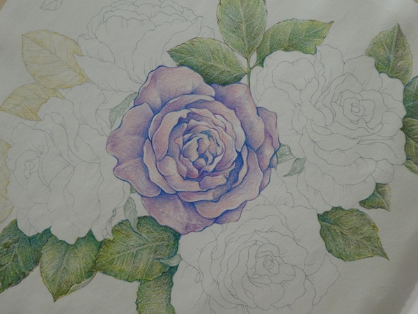 1 塗り絵の主線 を薄くして塗りたいプロジェクト 花日和花だよりより 塗り絵日記