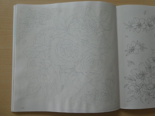 1 塗り絵の主線 を薄くして塗りたいプロジェクト 花日和花だよりより 塗り絵日記
