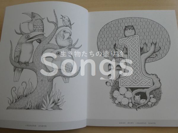ぬりえ本紹介】生き物たちの塗り絵 Songs☆ - 塗り絵日記