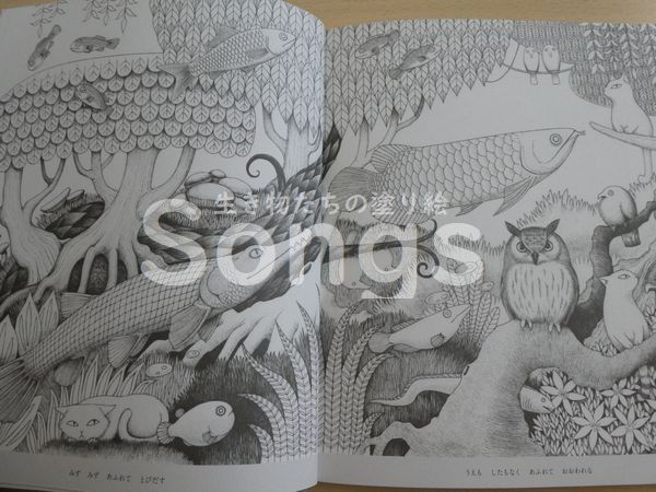 ぬりえ本紹介】生き物たちの塗り絵 Songs☆ - 塗り絵日記