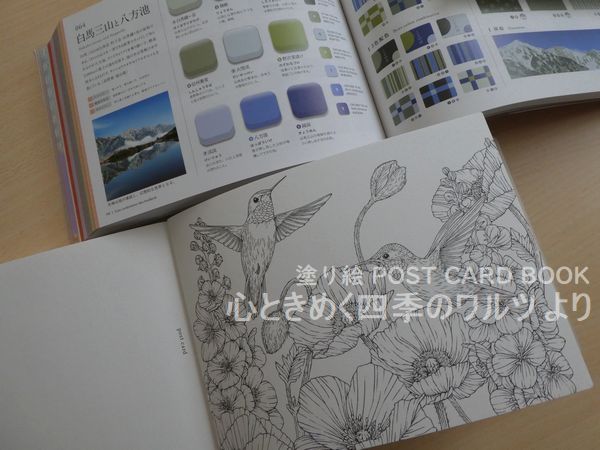 f:id:ofukusuke:20190221184940j:plain