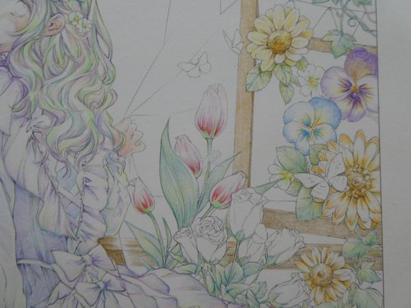 2】赤缶水彩色鉛筆でお花部分を塗ってみました☆SSぬりえより