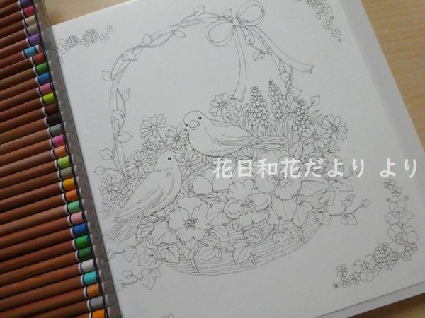 前編 無印良品色鉛筆で小鳥と花カゴページメイキングです 花日和花だよりより 塗り絵日記