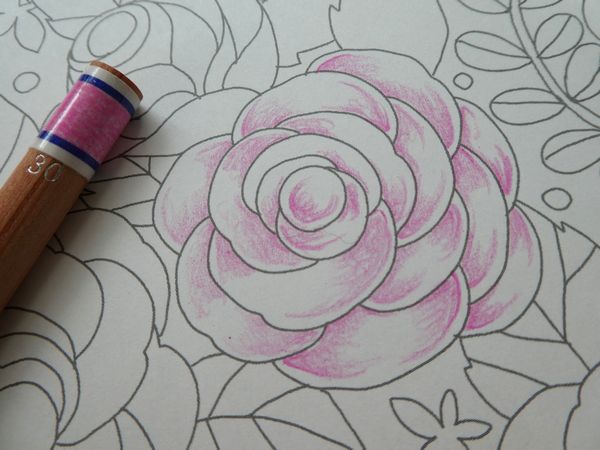 ﾒｲｷﾝｸﾞ 薔薇部分の塗り方紹介です 癒しの塗り絵より 塗り絵日記
