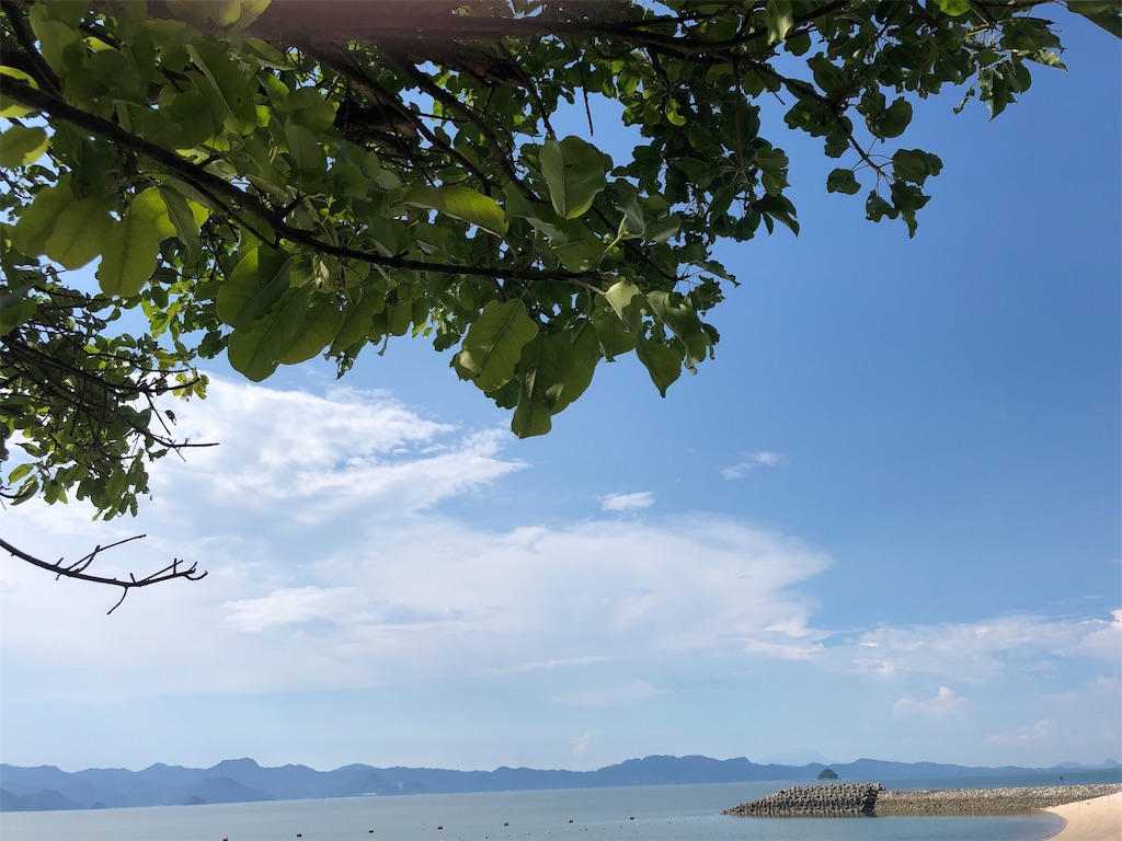 f:id:ofutarisamax:20200906184913j:image f:id:ofutarisamax:20200906184913j:image