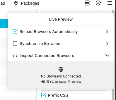 Browser Sync
