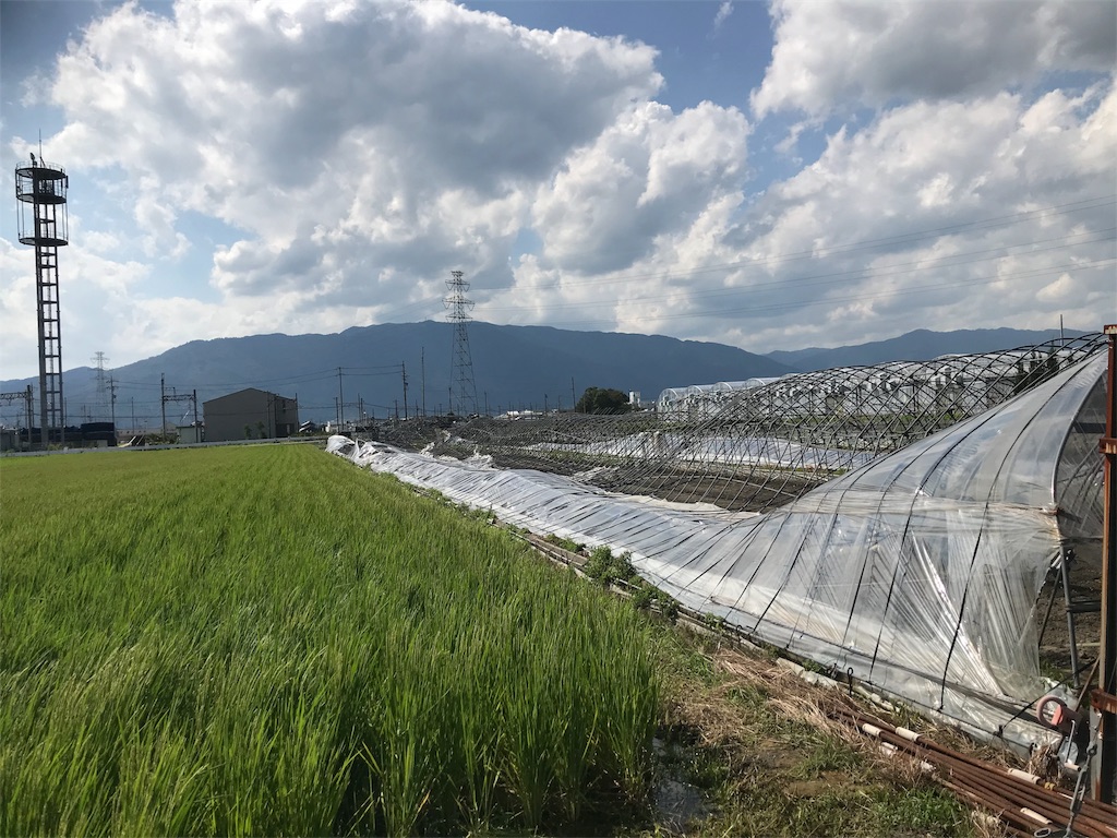 f:id:oga-sales:20180905180833j:image f:id:oga-sales:20180905180833j:image