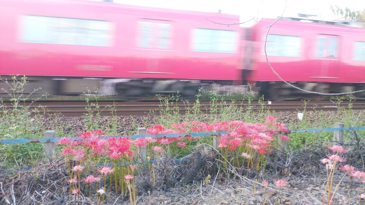 f:id:oga-sales:20191006203300j:plain f:id:oga-sales:20191006203300j:plain