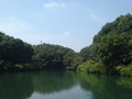 [公園]築池