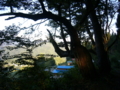 [神社]成就神社 - 小川村成就