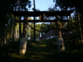 [神社][鳥居]成就神社 - 小川村成就