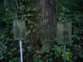 [神社]加茂神社 - 長野市鬼無里東京