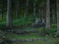 [神社]加茂神社 - 長野市鬼無里東京