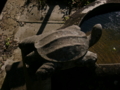 20090920085050