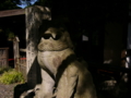 [神社][狛犬]大王神社 - 松本市大王わさび農場内