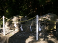 [神社]神明宮 - 安曇野市豊科田沢