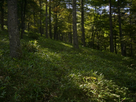 美ヶ原県民の森キャンプ場