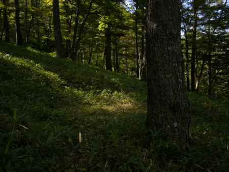 美ヶ原県民の森キャンプ場