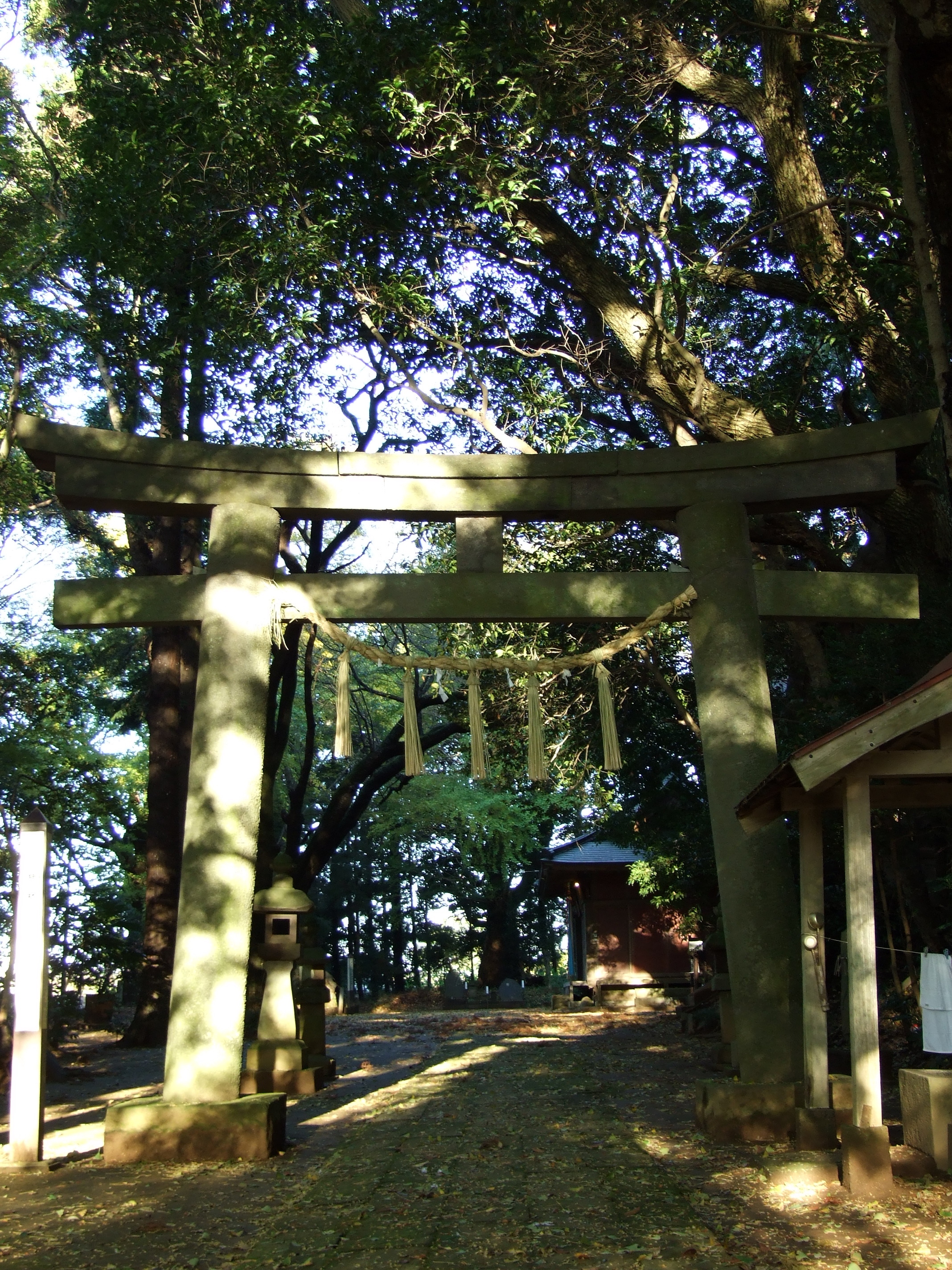 個別「[神社][鳥居]鷲神社 千葉県佐倉市矢崎」の写真、画像 神社 Shoot your Socks!!