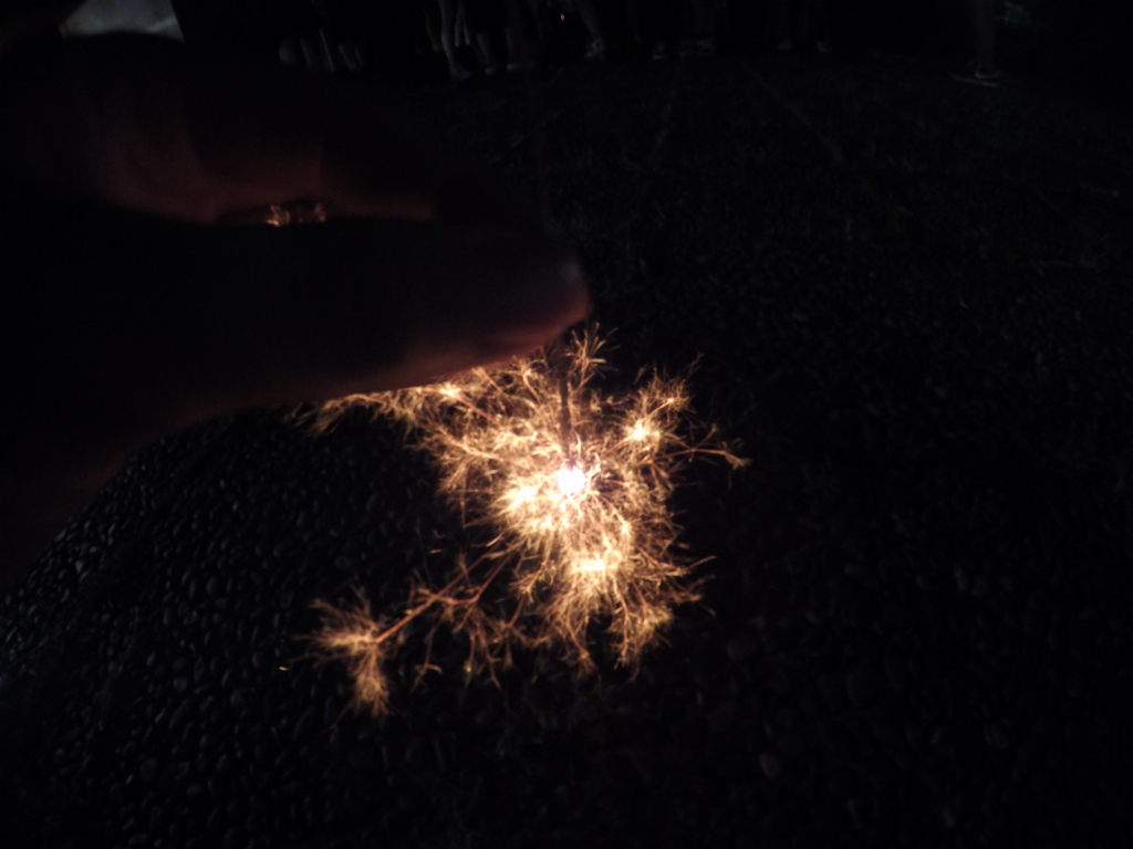 f:id:ogaryohey:20160817202037j:plain