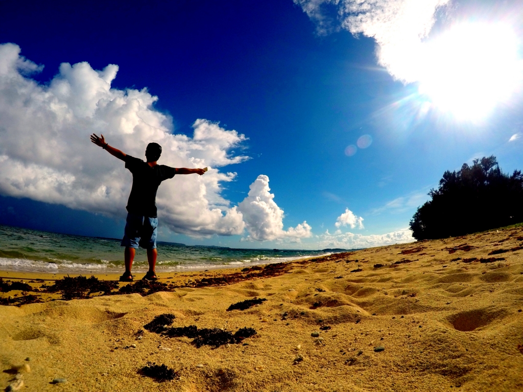 f:id:ogaryohey:20170217204907j:plain