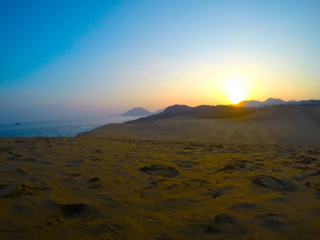 f:id:ogaryohey:20190311211948j:plain