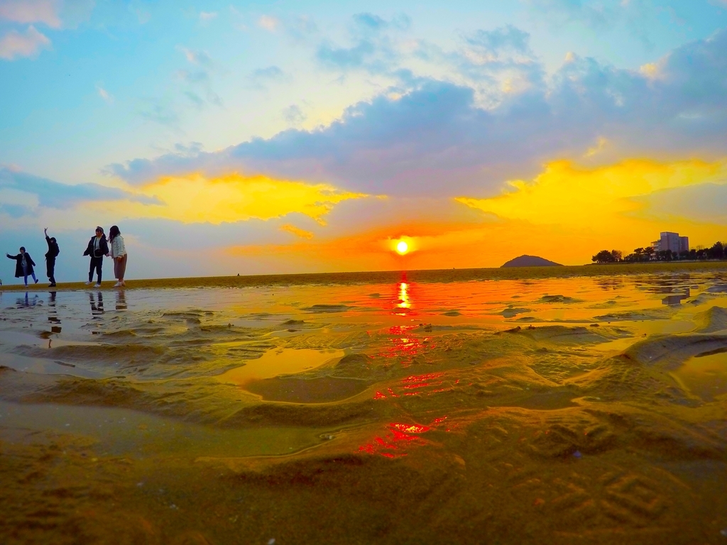 f:id:ogaryohey:20190311232613j:plain