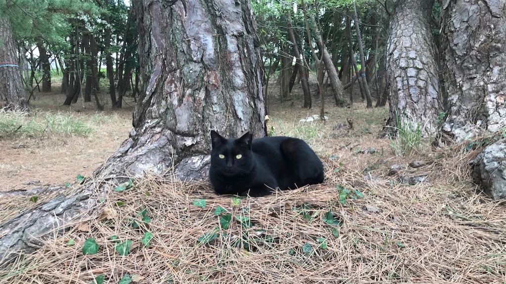 f:id:ogatafumiaki:20220331091249j:image