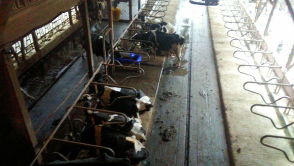 f:id:ogawahara:20191009154856j:plain