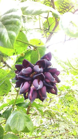 f:id:ogawashigeru:20130324164047j:image