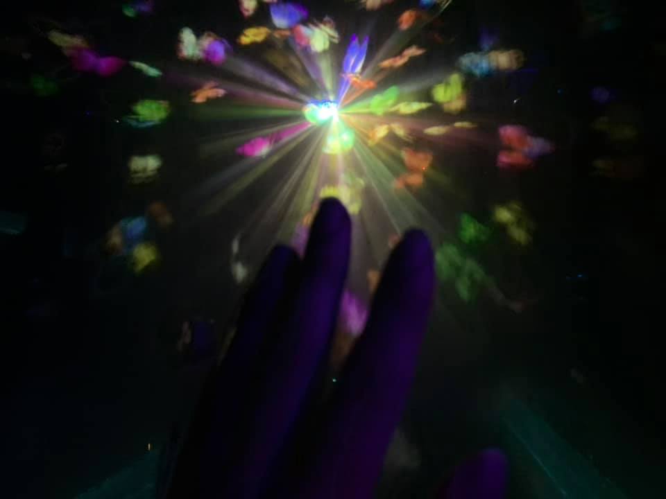 f:id:ogawasss0827:20210407103355j:plain