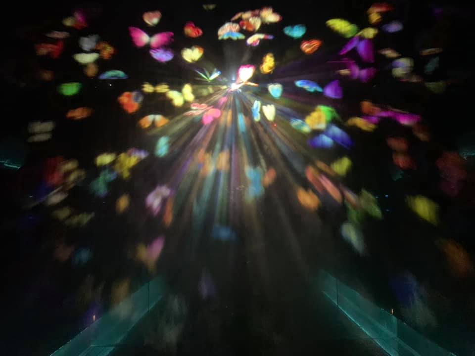 f:id:ogawasss0827:20210407103704j:plain