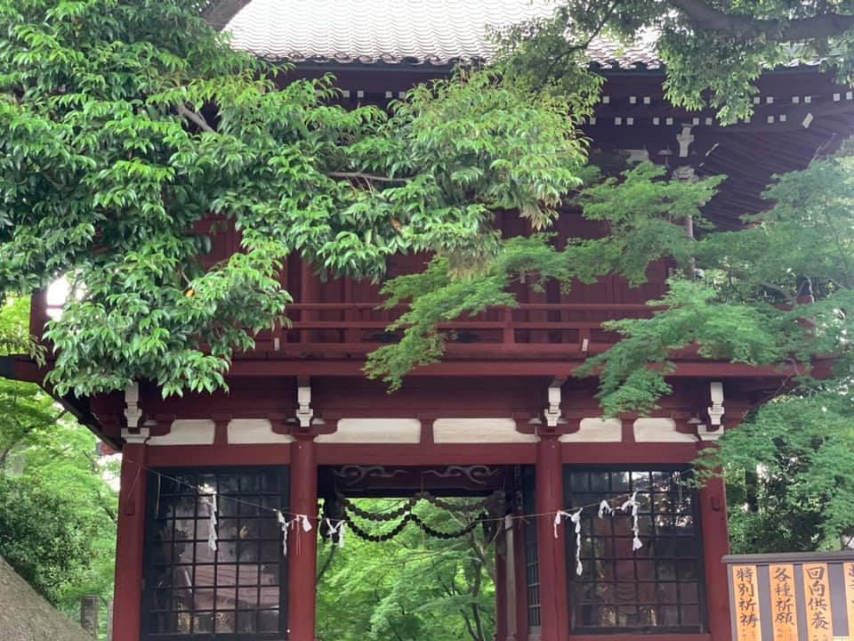 千葉県松戸市のあじさい寺 本土寺 へ 料金 期間 開花状況など 21 One Access
