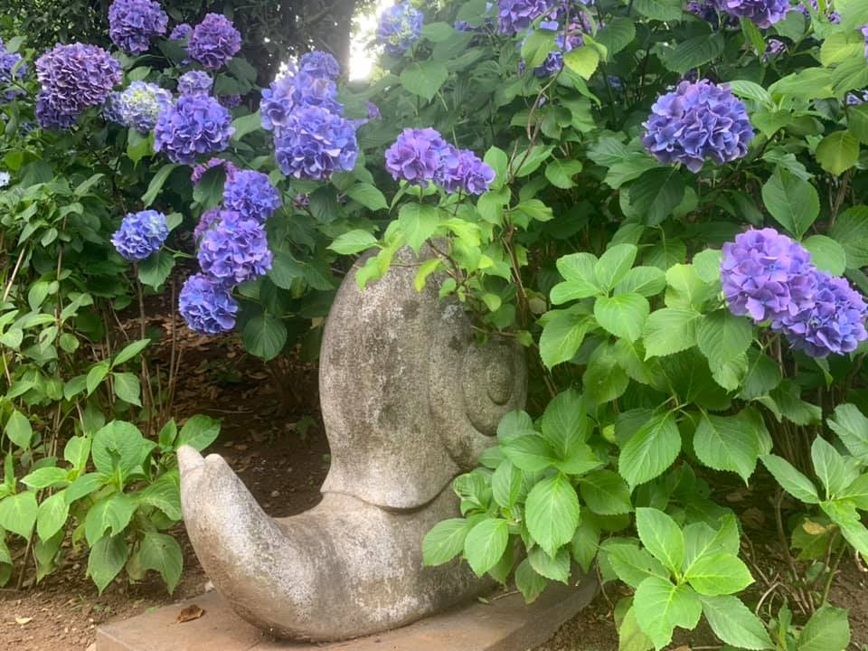 f:id:ogawasss0827:20210616142619j:plain